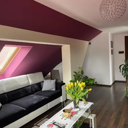 Podczerwone Apartment *