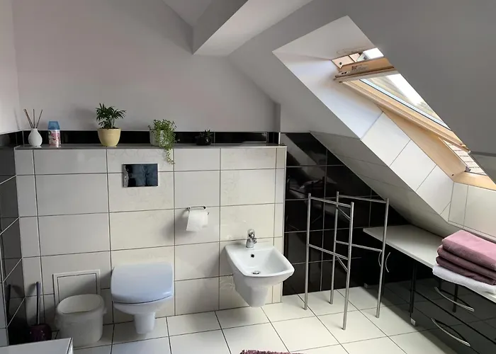 Podczerwone * Czarny Dunajec