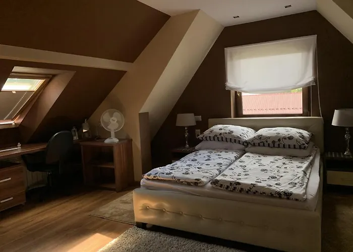 Podczerwone צ'ארני דונאייץ