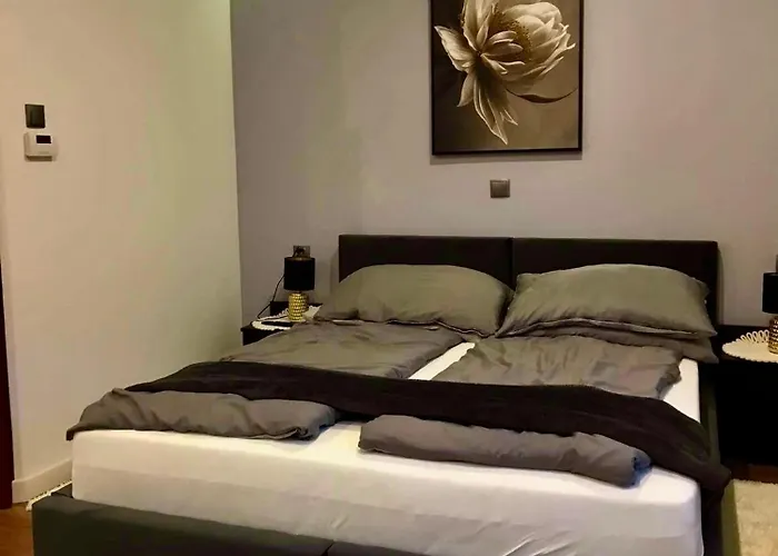 Podczerwone דירה צ'ארני דונאייץ